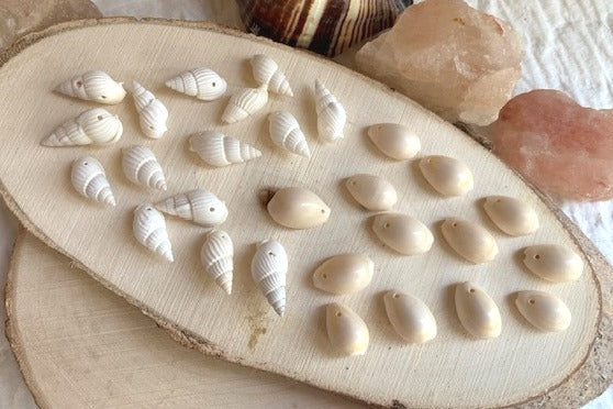 Seashell Trumpet & Cowrie Beads, Natural