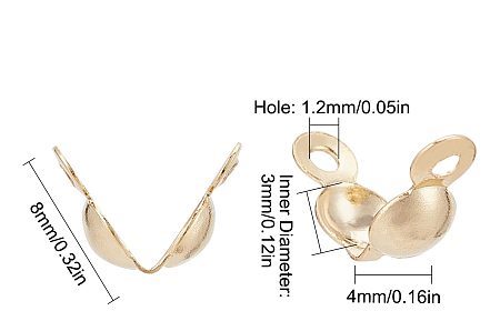 Clamshells, Golden 304SS