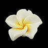 Polymer Clay Plumeria Flower 20mm