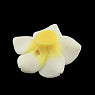 Polymer Clay Plumeria Flower 20mm