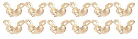 Clamshells, Golden 304SS